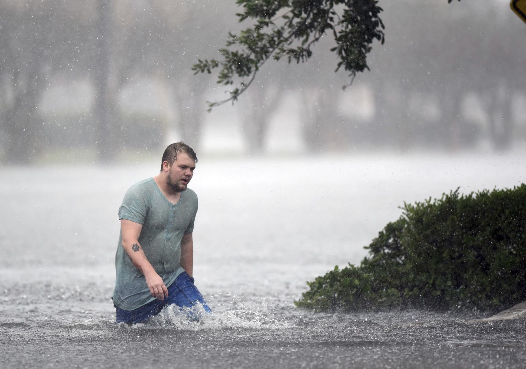 Tropical Weather North Carolina